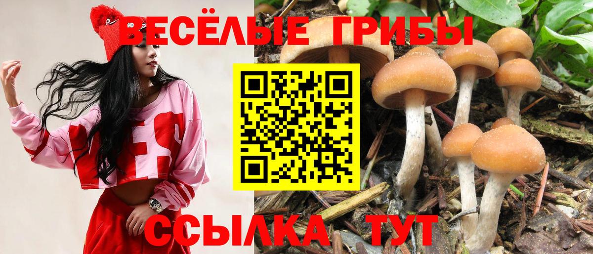 Галлюциногенные грибы Magic Shrooms Сальск