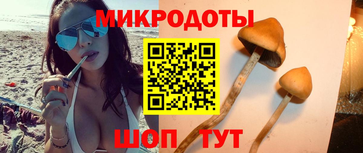 Псилоцибиновые грибы Psilocybe  купить наркоту  Сальск  Вход с VPN 